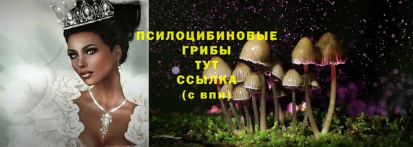 наркотики Няндома