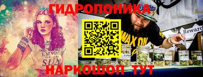 крисы Донской