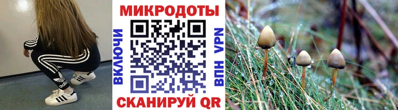 Галлюциногенные грибы Cubensis  Орск 