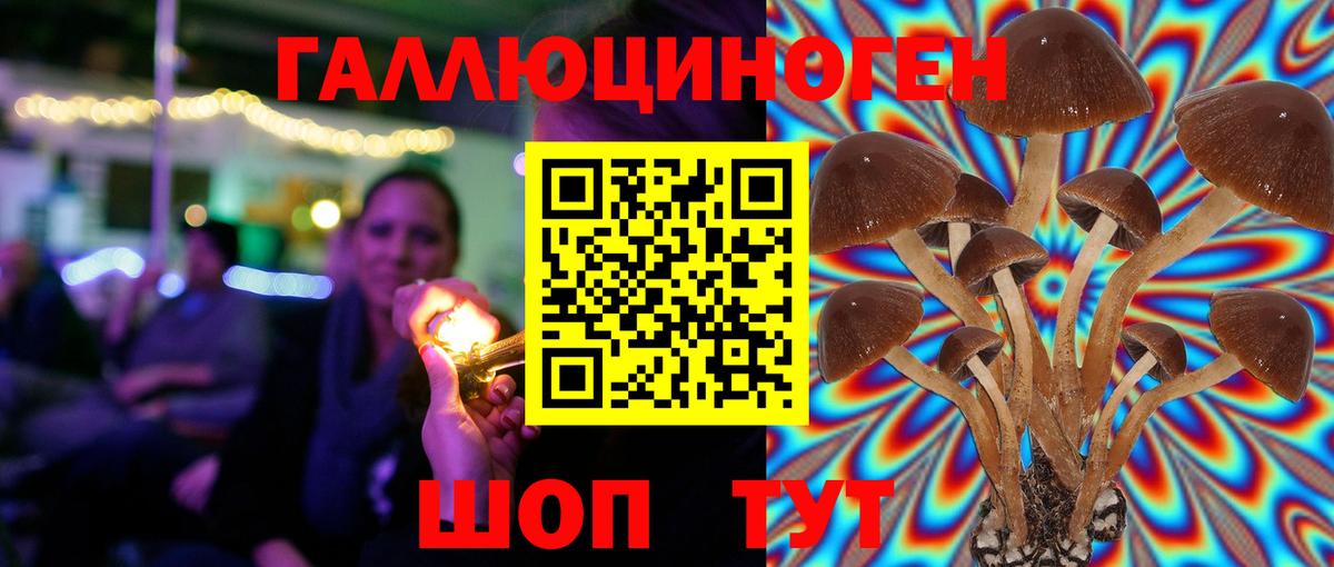 Псилоцибиновые грибы MAGIC MUSHROOMS Орск