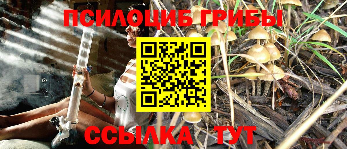 Галлюциногенные грибы мицелий  Орск 